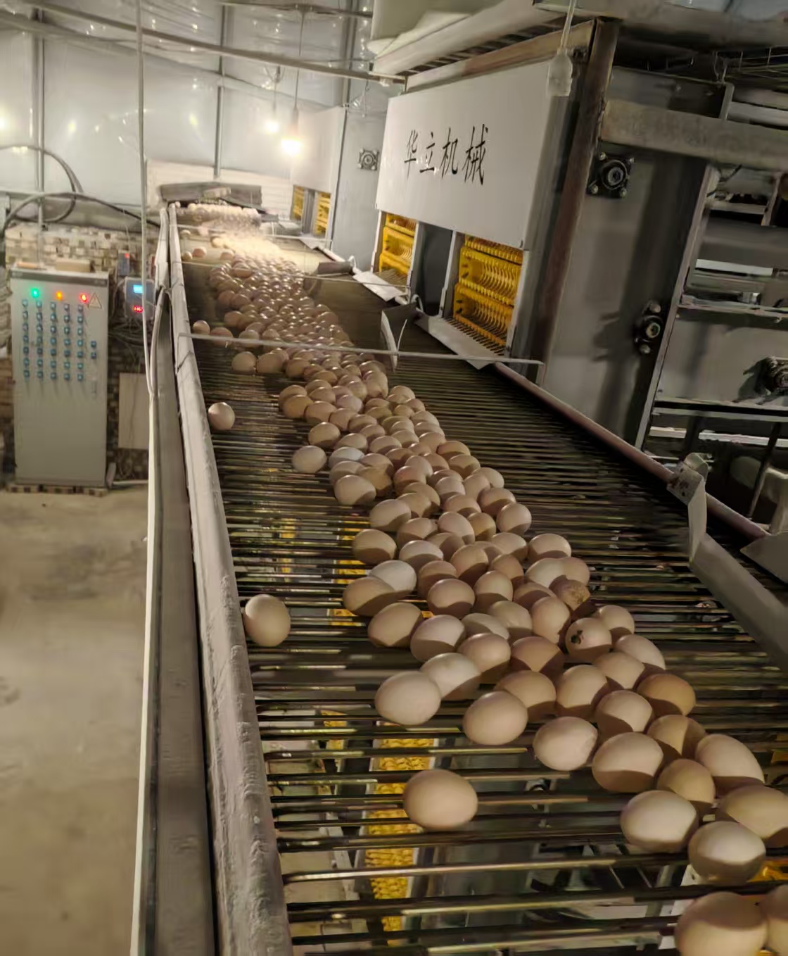 中央輸?shù)捌? title=